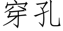 穿孔 (仿宋矢量字库)