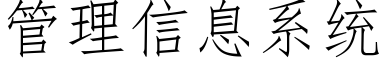 管理信息系统 (仿宋矢量字库)