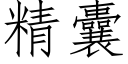 精囊 (仿宋矢量字库)