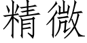 精微 (仿宋矢量字库)