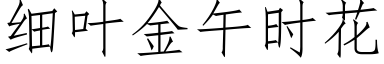 细叶金午时花 (仿宋矢量字库)