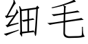 細毛 (仿宋矢量字庫)