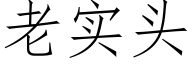 老实头 (仿宋矢量字库)