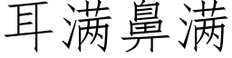 耳满鼻满 (仿宋矢量字库)