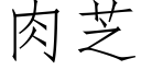 肉芝 (仿宋矢量字库)