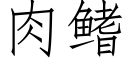 肉鳍 (仿宋矢量字庫)