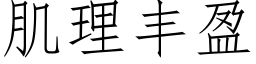 肌理丰盈 (仿宋矢量字库)