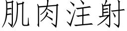 肌肉注射 (仿宋矢量字库)