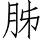 胏 (仿宋矢量字库)