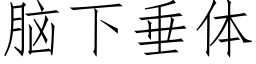 腦下垂體 (仿宋矢量字庫)