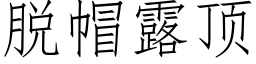 脫帽露頂 (仿宋矢量字庫)