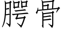 腭骨 (仿宋矢量字库)