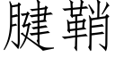 腱鞘 (仿宋矢量字库)