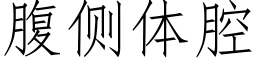 腹側體腔 (仿宋矢量字庫)