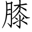 膝 (仿宋矢量字庫)