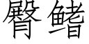 臀鳍 (仿宋矢量字库)