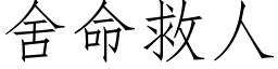 舍命救人 (仿宋矢量字库)