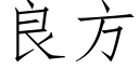 良方 (仿宋矢量字庫)