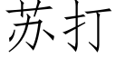 蘇打 (仿宋矢量字庫)