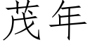 茂年 (仿宋矢量字库)