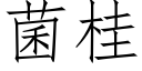 菌桂 (仿宋矢量字库)