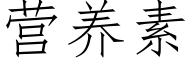 营养素 (仿宋矢量字库)