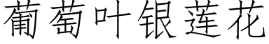 葡萄叶银莲花 (仿宋矢量字库)