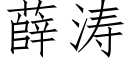 薛涛 (仿宋矢量字库)