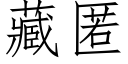 藏匿 (仿宋矢量字庫)