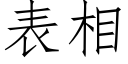 表相 (仿宋矢量字库)