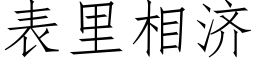 表裡相濟 (仿宋矢量字庫)