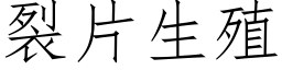 裂片生殖 (仿宋矢量字庫)