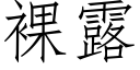 裸露 (仿宋矢量字庫)