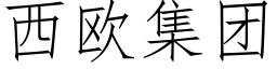 西欧集团 (仿宋矢量字库)