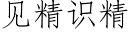 見精識精 (仿宋矢量字庫)