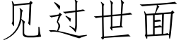 見過世面 (仿宋矢量字庫)