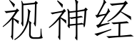 視神經 (仿宋矢量字庫)