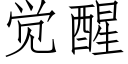 覺醒 (仿宋矢量字庫)