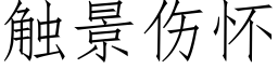 觸景傷懷 (仿宋矢量字庫)