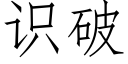 識破 (仿宋矢量字庫)