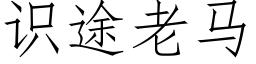 識途老馬 (仿宋矢量字庫)