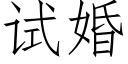 試婚 (仿宋矢量字庫)