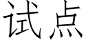 試點 (仿宋矢量字庫)