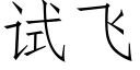 試飛 (仿宋矢量字庫)