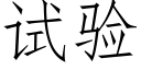 試驗 (仿宋矢量字庫)