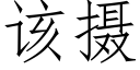 該攝 (仿宋矢量字庫)