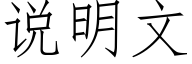 說明文 (仿宋矢量字庫)