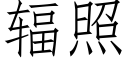 辐照 (仿宋矢量字库)