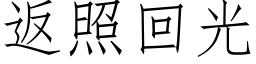 返照回光 (仿宋矢量字庫)