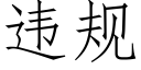 違規 (仿宋矢量字庫)